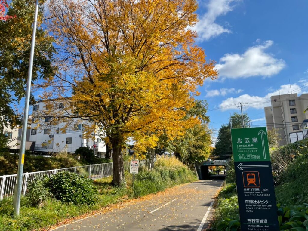 白石こころーど