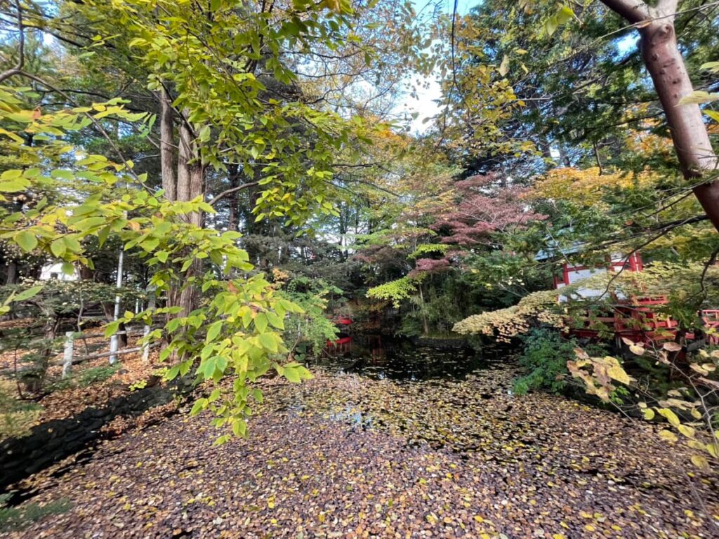白石神社の写真