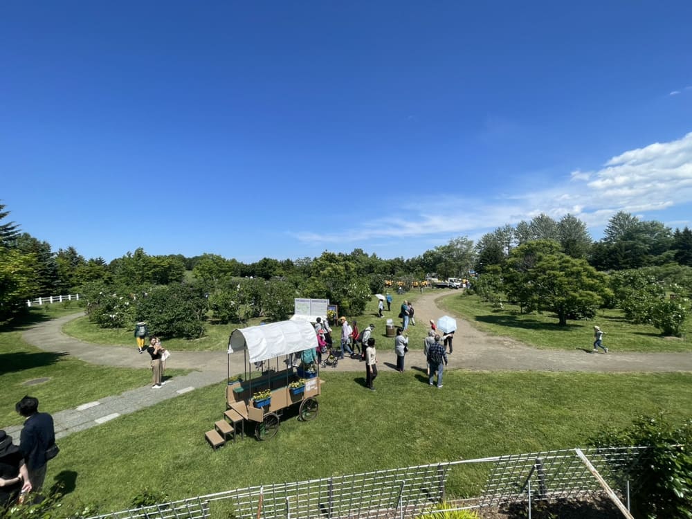 川下公園ライラックまつり2026の写真