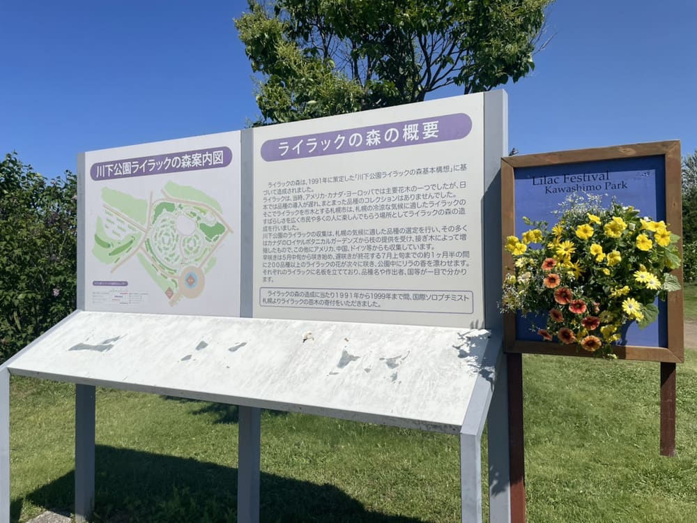 川下公園ライラックまつり2026の写真