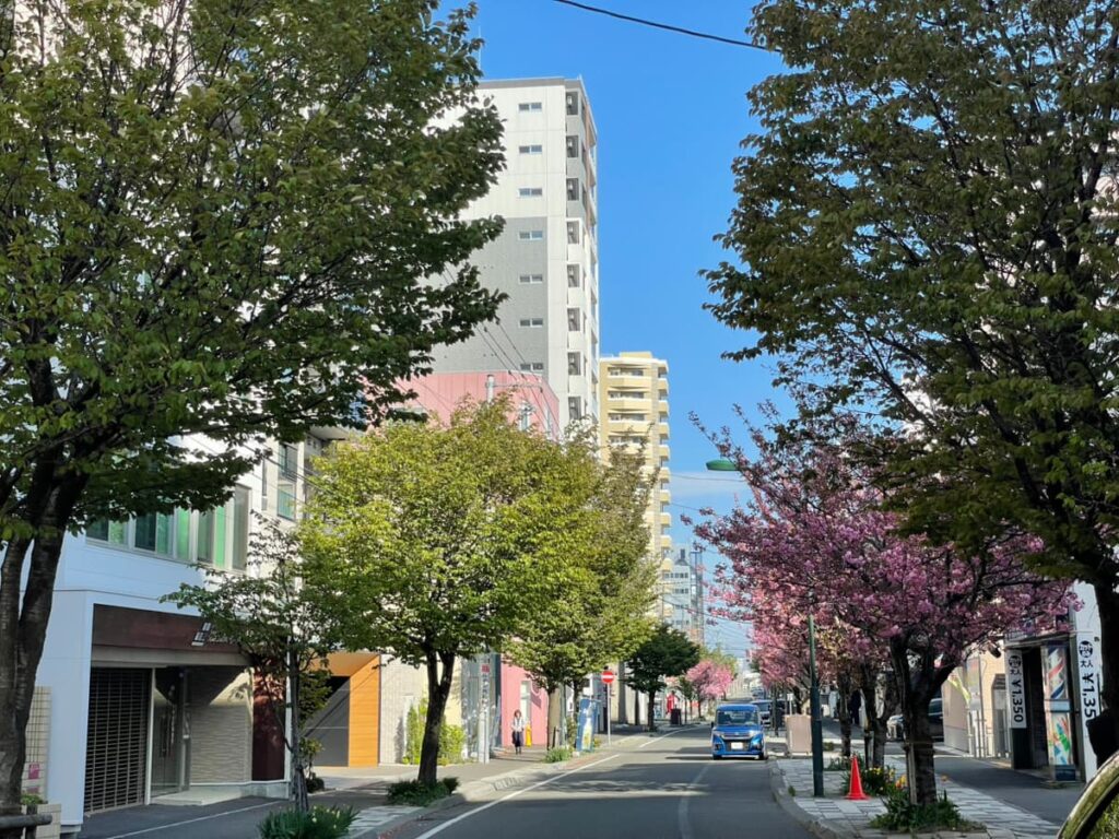 本郷通商店街の写真