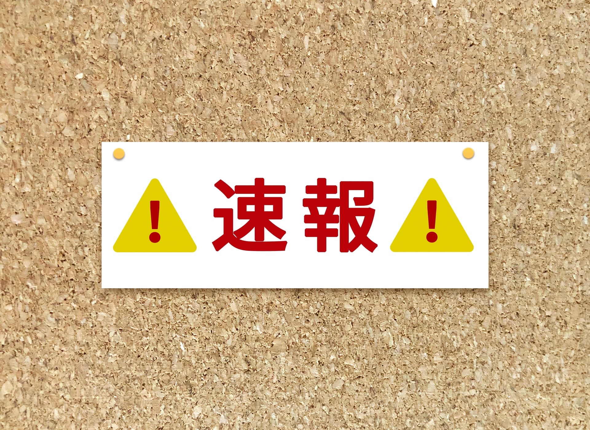 速報の写真