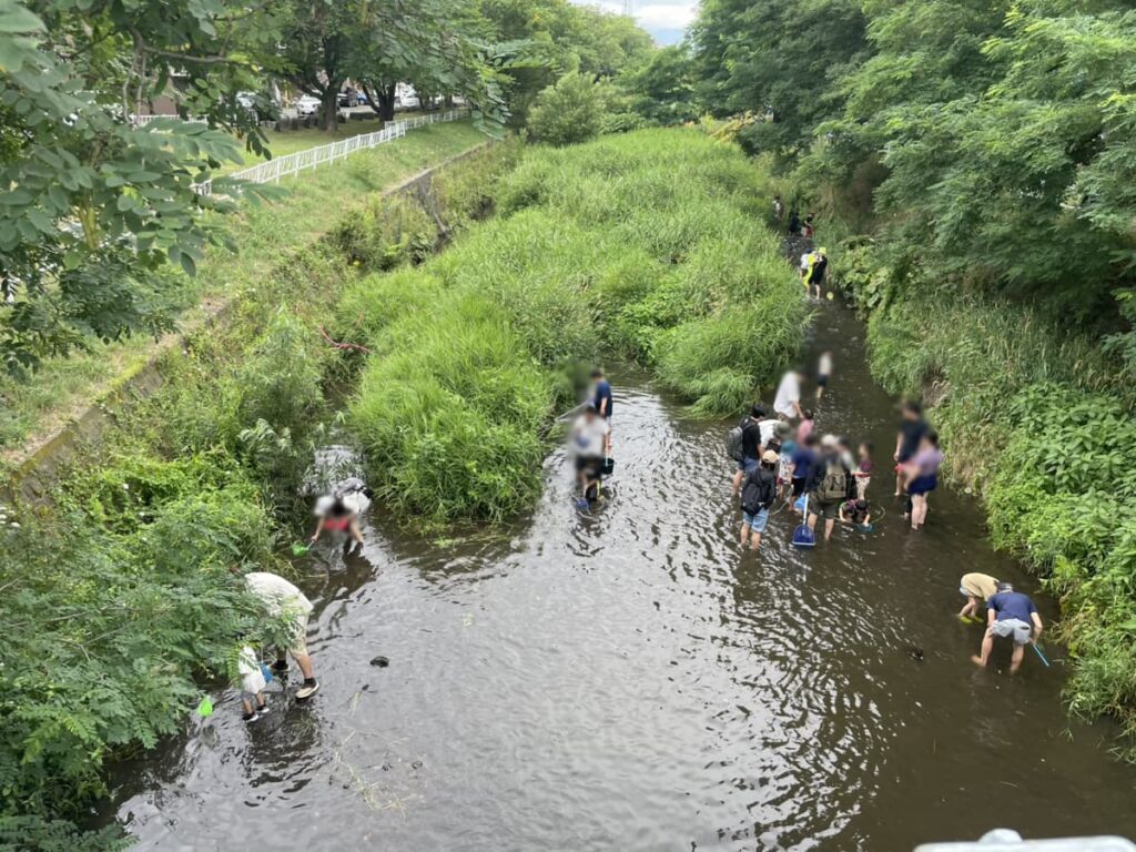 月寒川にぎわい川まつりの写真
