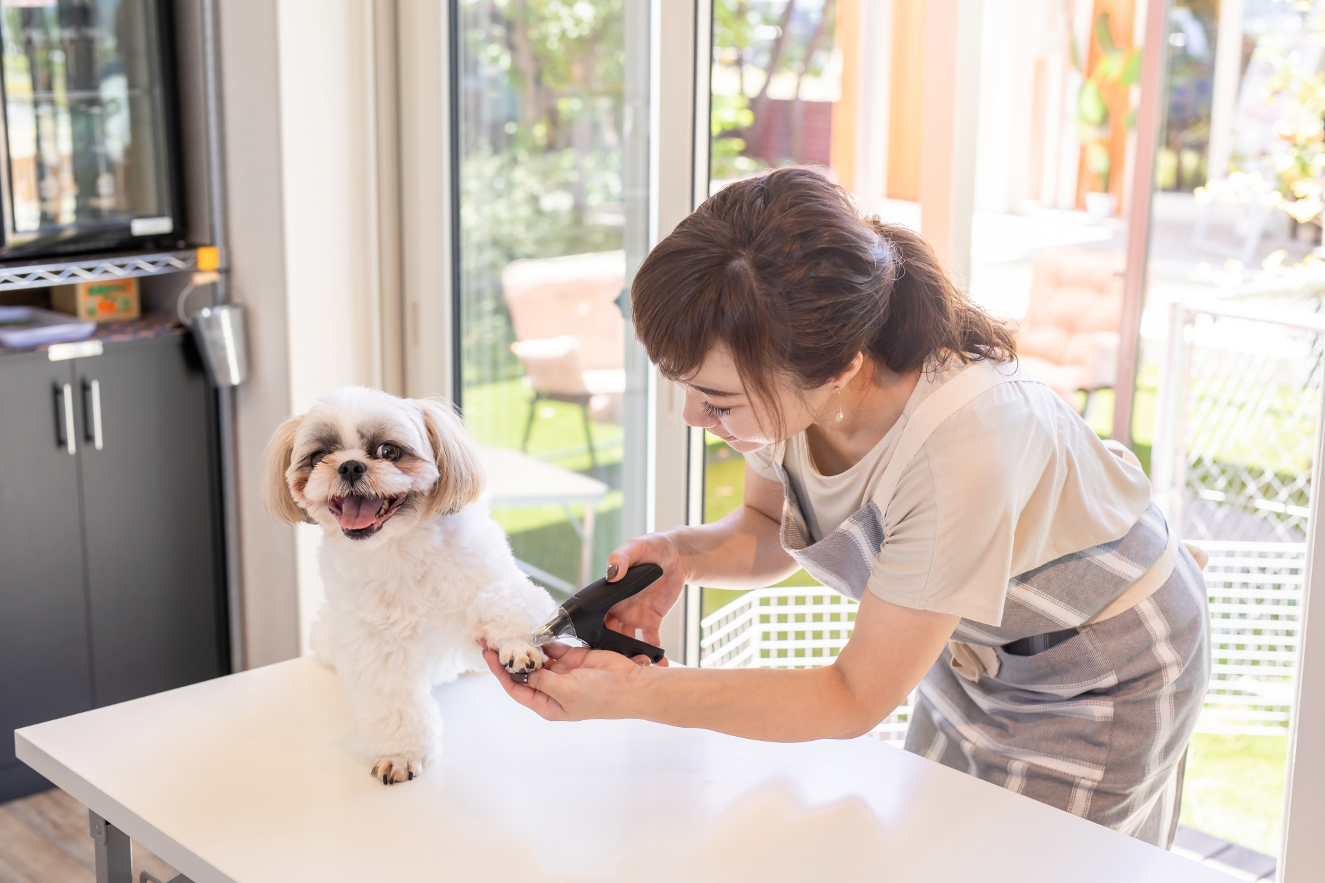 トリミングの写真