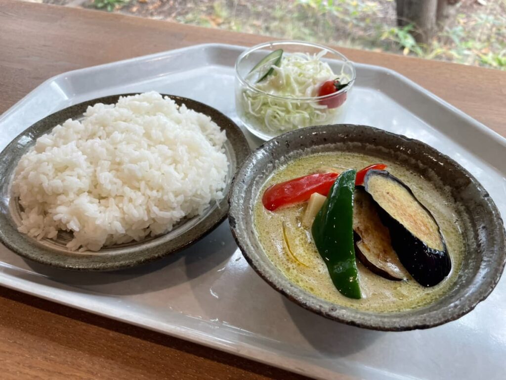 JICA北海道のグリーンカレー