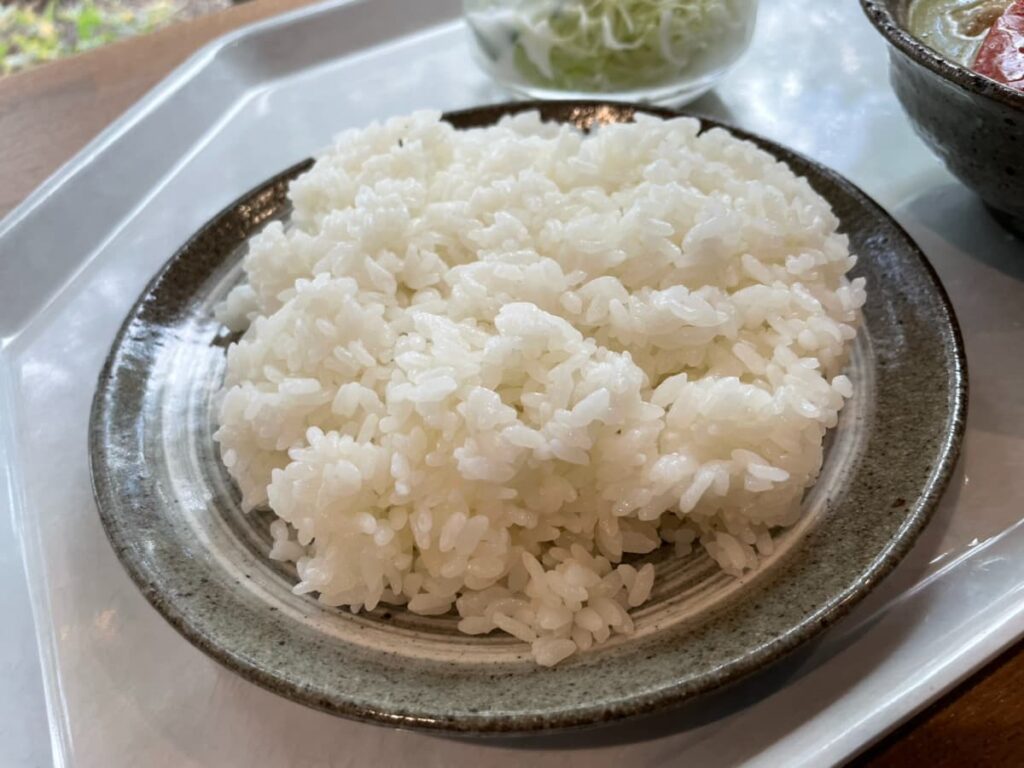 ライス大盛り