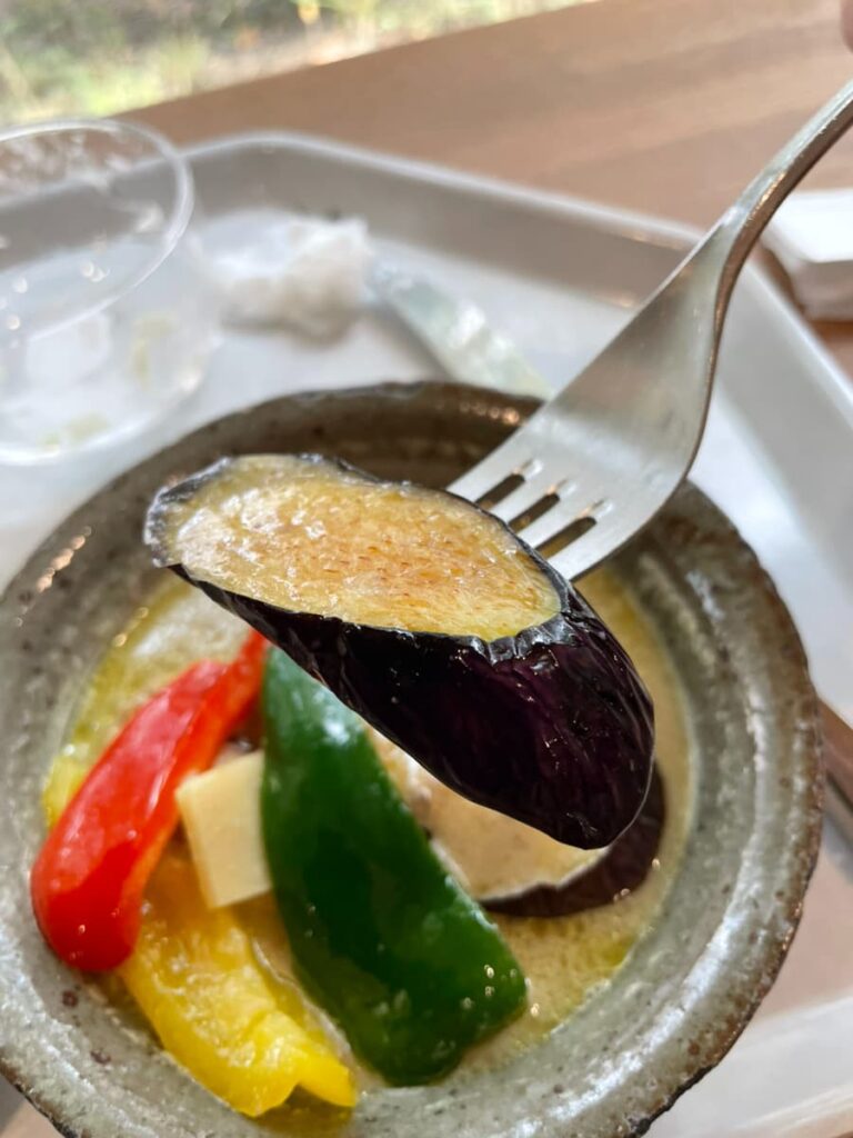 JICA北海道のグリーンカレー