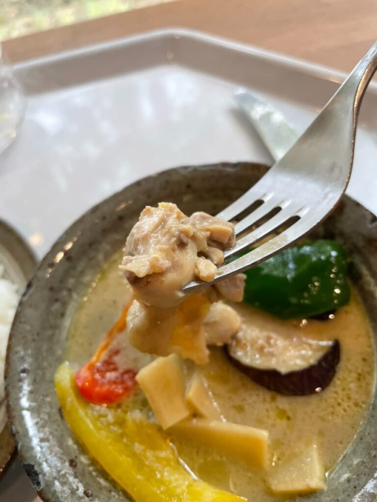 JICA北海道のグリーンカレー