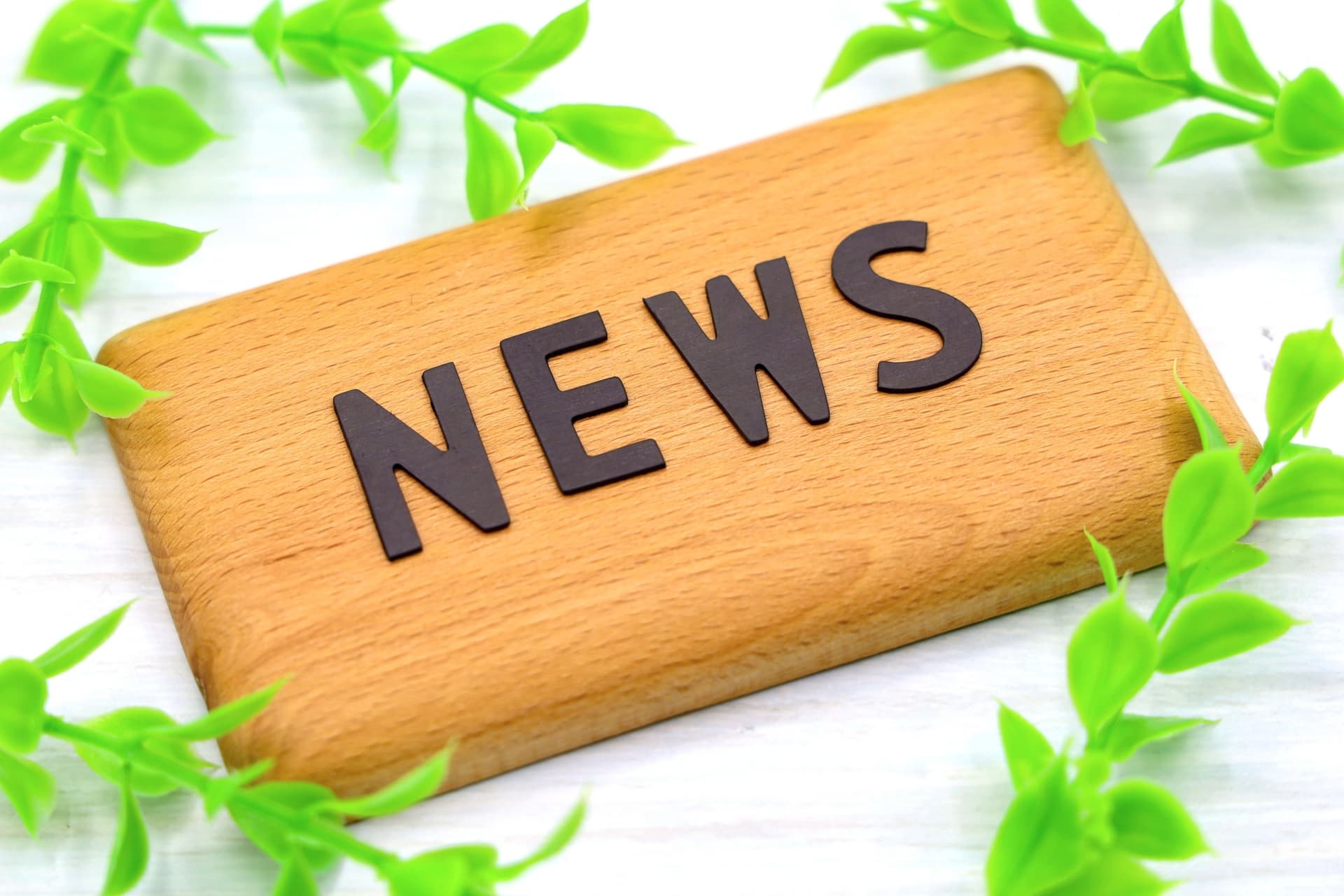 イベントNWESの画像