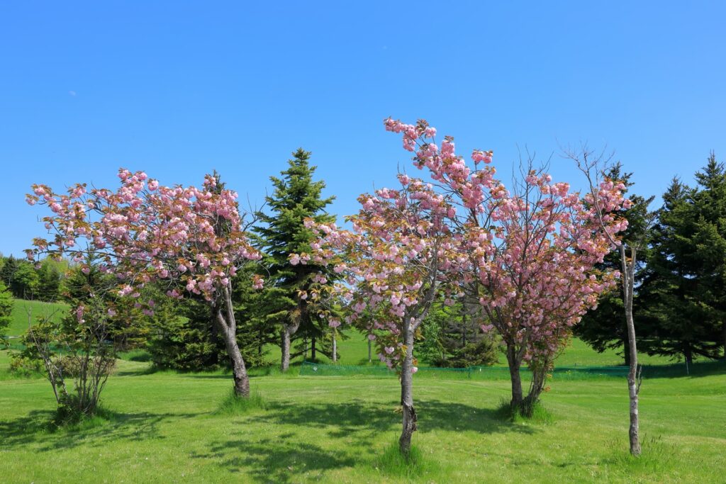 川下公園の写真