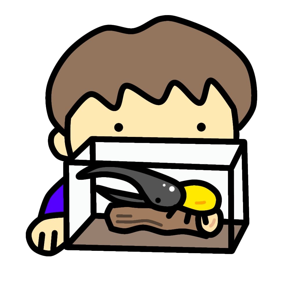 ヘラクレスオオカブトをみる子供のイラスト