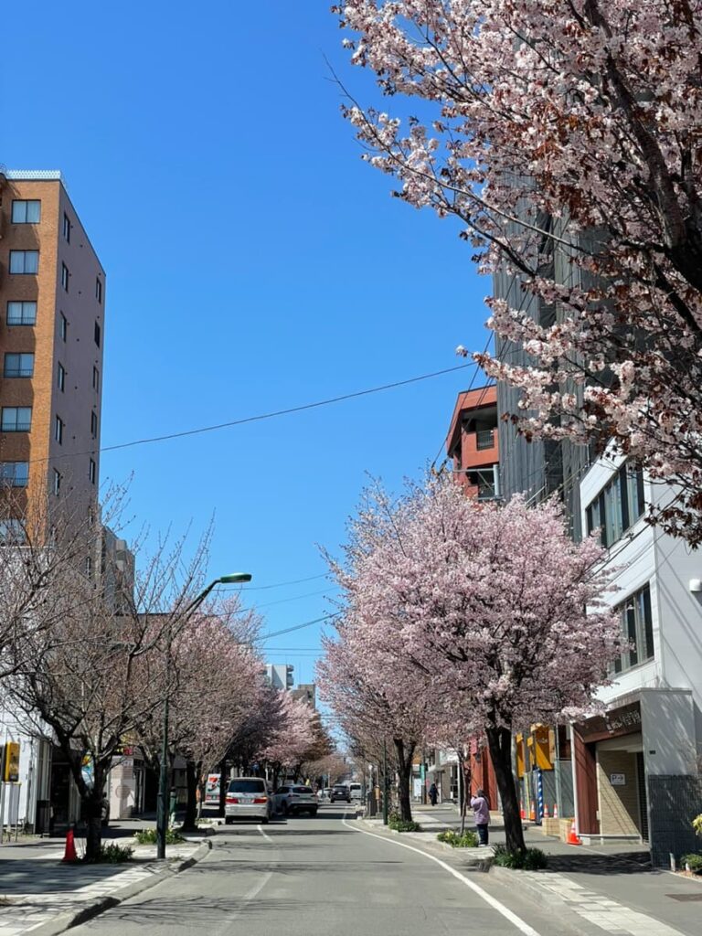 本郷通商店街の写真