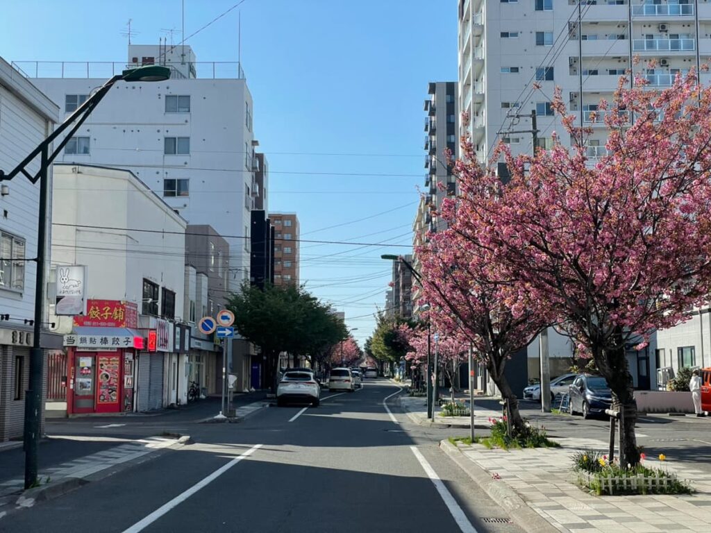 本郷通商店街の写真