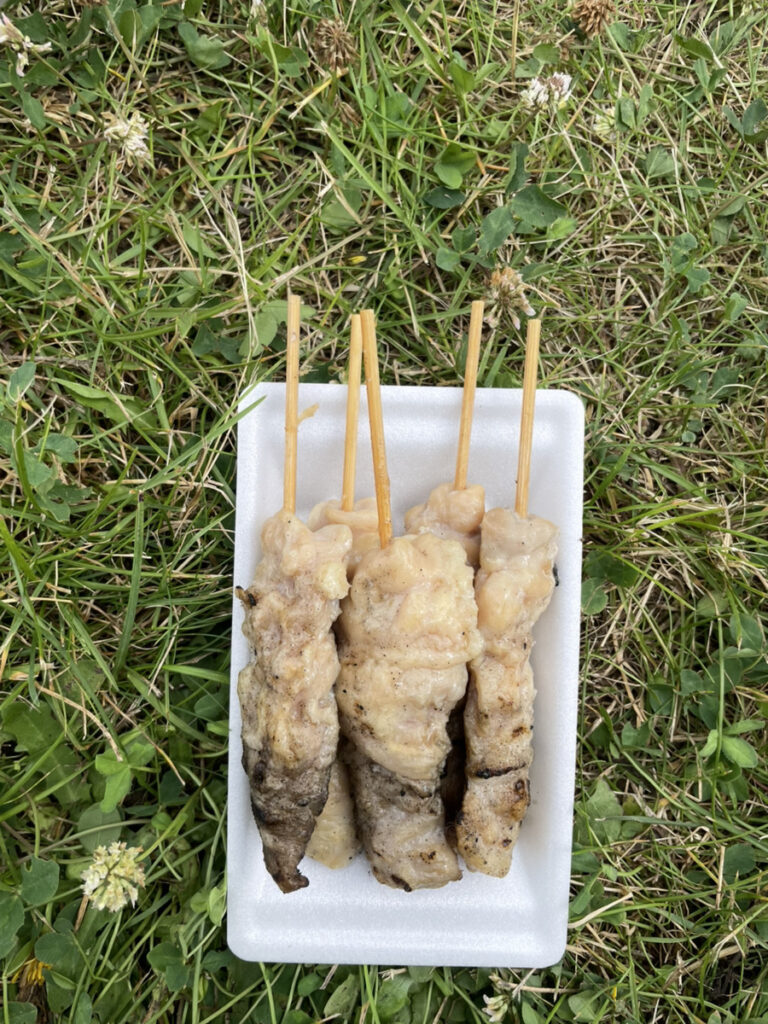 北郷瑞穂納涼夏祭り2026の写真